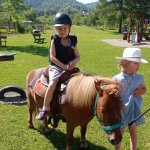phoca_thumb_m_ponk 75 Fotogalerie